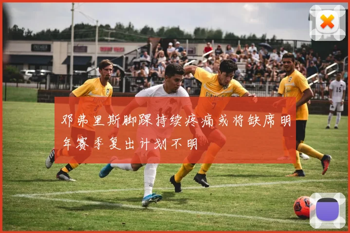 邓弗里斯脚踝持续疼痛或将缺席明年赛季复出计划不明