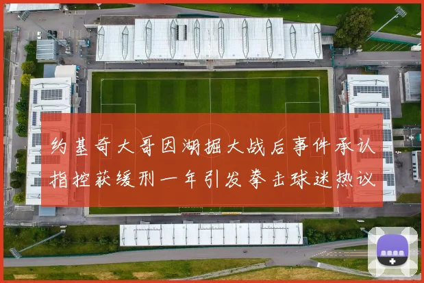 约基奇大哥因湖掘大战后事件承认指控获缓刑一年引发拳击球迷热议