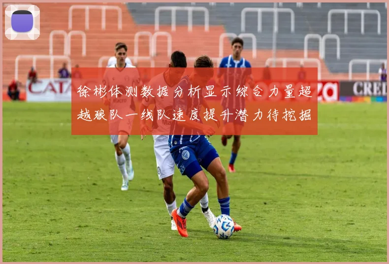 徐彬体测数据分析显示综合力量超越狼队一线队速度提升潜力待挖掘