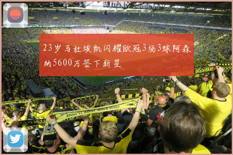 23岁马杜埃凯闪耀欧冠3场3球阿森纳5600万签下新星