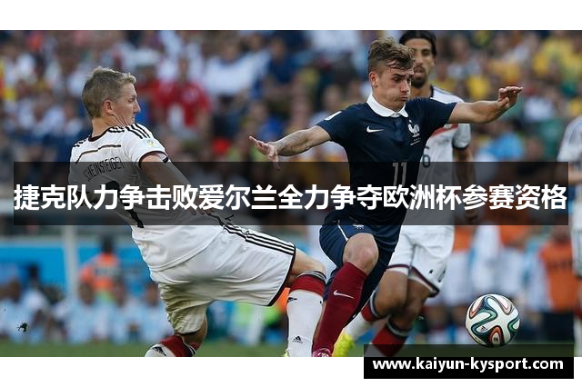 捷克队力争击败爱尔兰全力争夺欧洲杯参赛资格