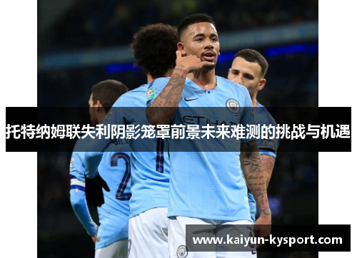 托特纳姆联失利阴影笼罩前景未来难测的挑战与机遇