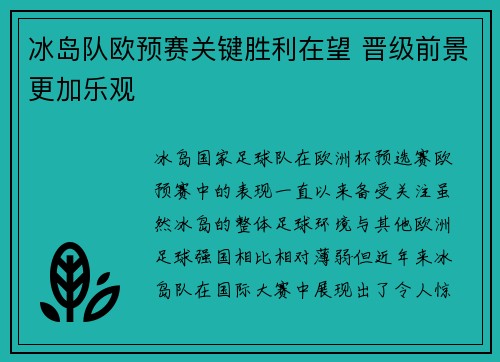 冰岛队欧预赛关键胜利在望 晋级前景更加乐观