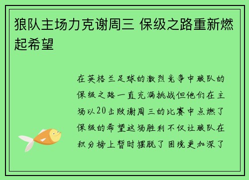 狼队主场力克谢周三 保级之路重新燃起希望