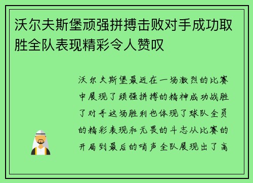 沃尔夫斯堡顽强拼搏击败对手成功取胜全队表现精彩令人赞叹