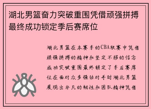 湖北男篮奋力突破重围凭借顽强拼搏最终成功锁定季后赛席位