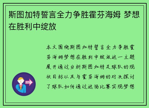 斯图加特誓言全力争胜霍芬海姆 梦想在胜利中绽放