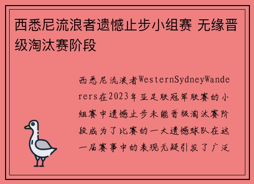 西悉尼流浪者遗憾止步小组赛 无缘晋级淘汰赛阶段