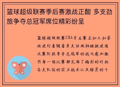 篮球超级联赛季后赛激战正酣 多支劲旅争夺总冠军席位精彩纷呈