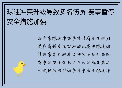 球迷冲突升级导致多名伤员 赛事暂停安全措施加强